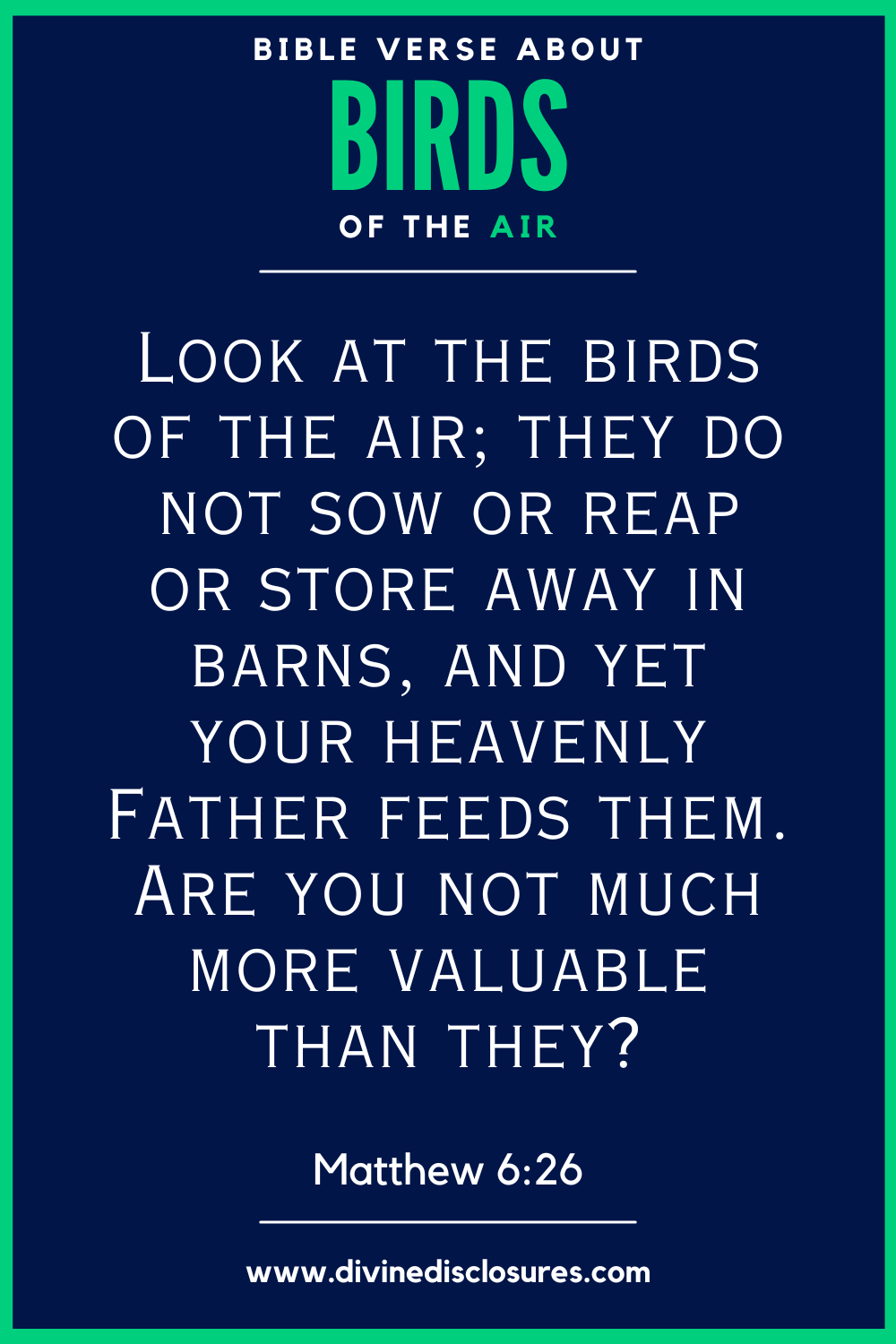 67+ Powerful Bible Verses About Birds In The Bible