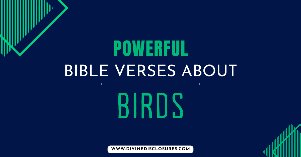 67+ Powerful Bible Verses About Birds In The Bible